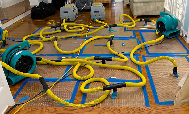Professional Crawl Space Water Removal technician working in Titusville, PA